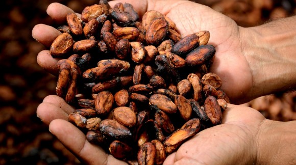 Proprietà e benefici delle fave di cacao